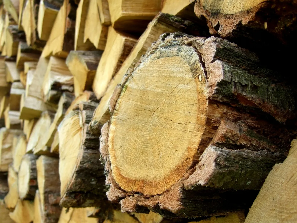 Bois de chauffage 2026 : chêne, hêtre, charme — choisir, conserver, optimiser